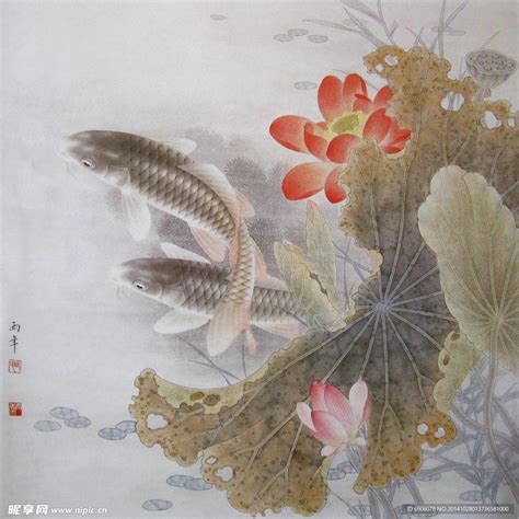 鲤鱼风水画|国画荷花鲤鱼图的风水寓意